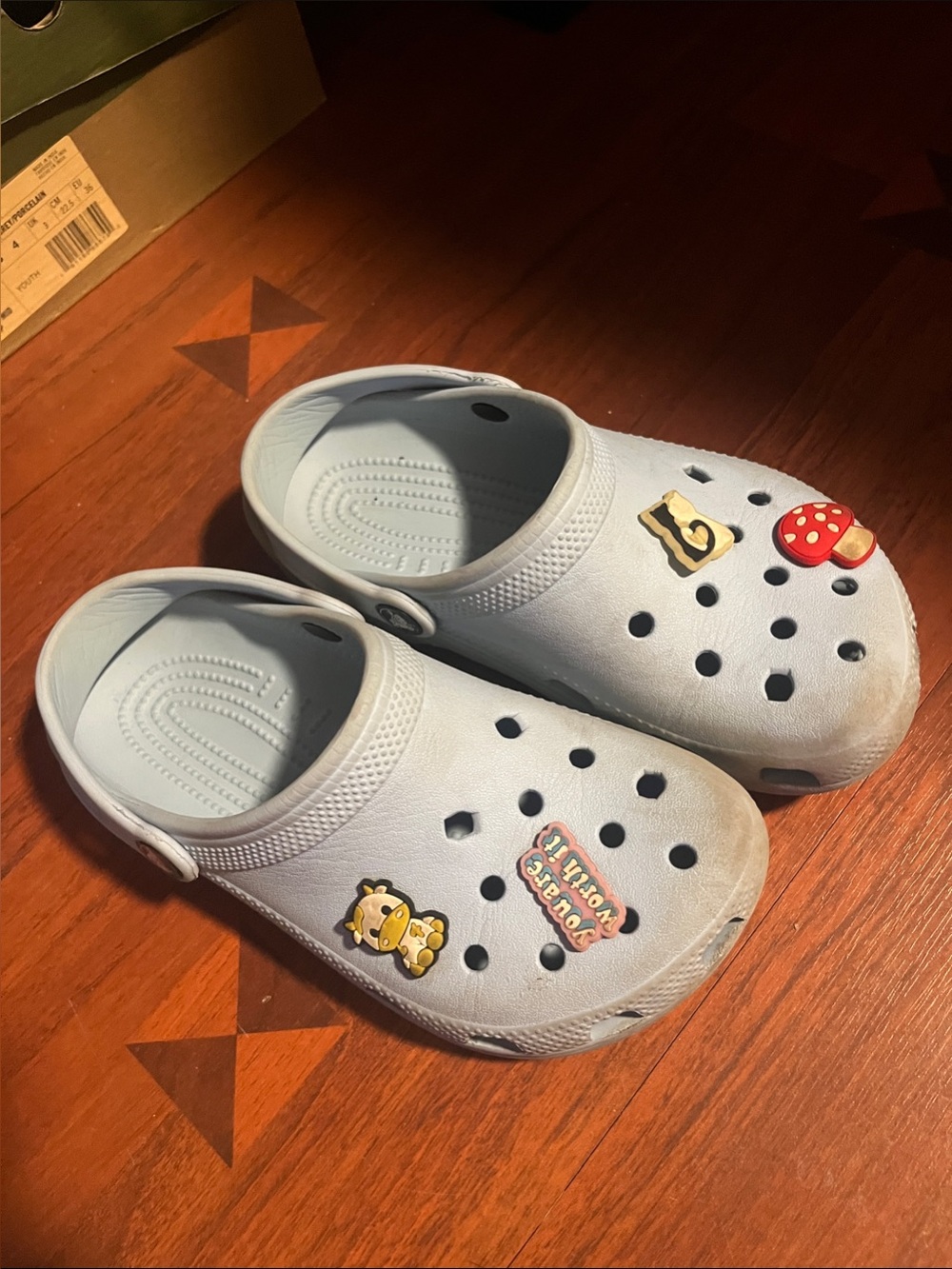 CROCS Light Blue Kids Clogs with Playful Charms
